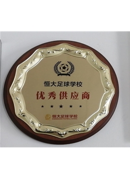 優(yōu)秀供應(yīng)商